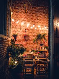 Potted plants on table in illuminated building