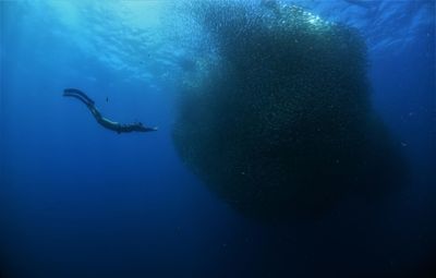 Side view of person swimming undersea