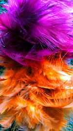 Full frame shot of multi colored feathers