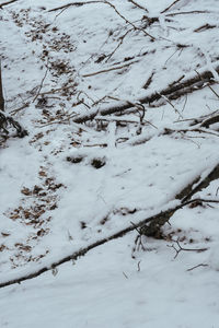 High angle view of snow covered field