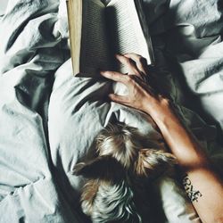 High angle view of person resting on bed