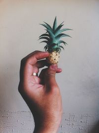 Cropped image of person holding pineapple against wall