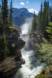 Scenic view of waterfall in forest