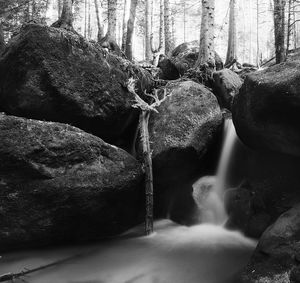 Stream flowing through rocks in forest