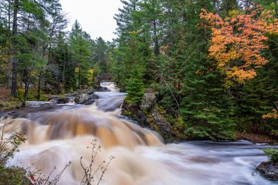 Amnicon falls state park