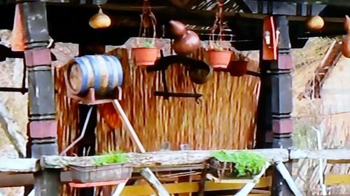 Close-up of clothes hanging