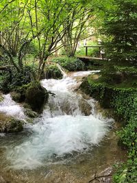 Scenic view of waterfall in forest