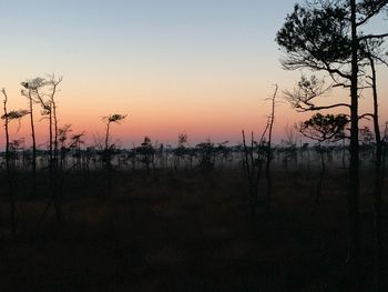 Silhouette trees by lake against sky during sunset