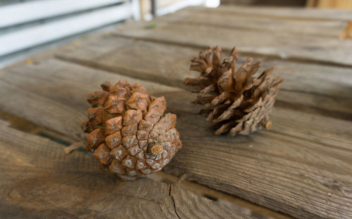 Close-up of pine cone on table