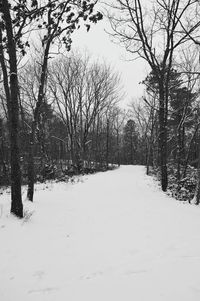 Scenic view of snow covered landscape