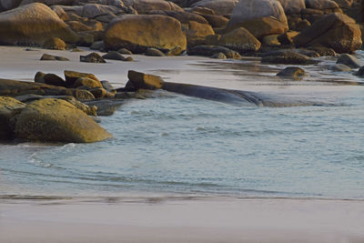 Rocks in sea