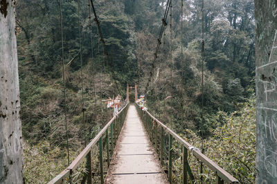 Footbridge amidst trees in forest