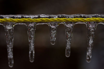 Close-up of icicles against black background