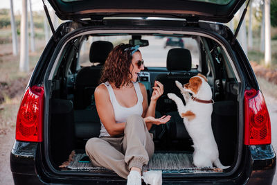 Dog sitting in car