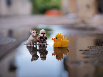Close-up of toys in puddle