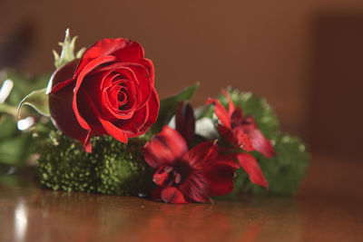 Close-up of red rose on table