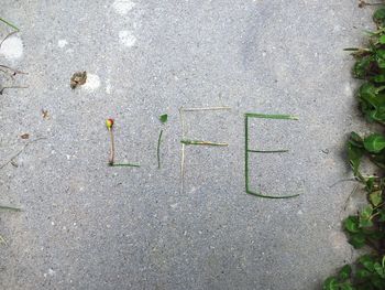 High angle view of text written by grass