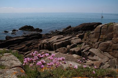 Scenic view of sea and rocks against clear sky