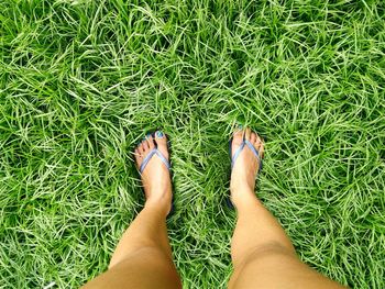 Low section of woman relaxing on grassy field