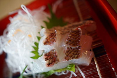 Close-up of sushi served in plate