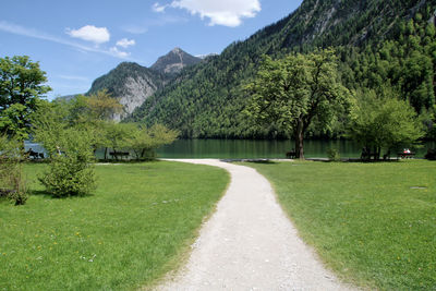 Scenic view of green landscape against sky