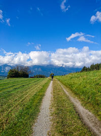 Scenic view of agricultural field against blue sky