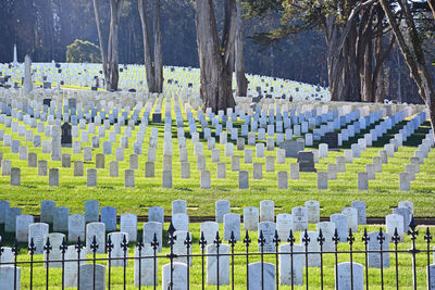 Row of fence in cemetery