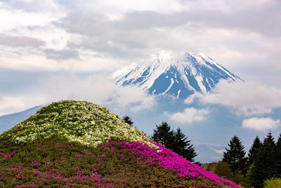 Scenic view of snowcapped mountain against sky