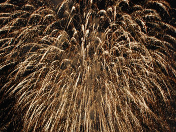 Firework display at night