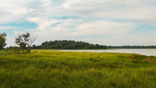 Scenic view of field against sky