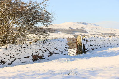 Scenic view of snow covered landscape against clear sky