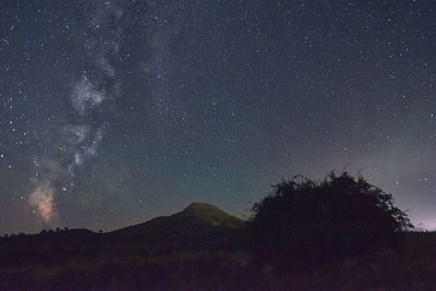 Milky way above a tree, night photography, long exposure