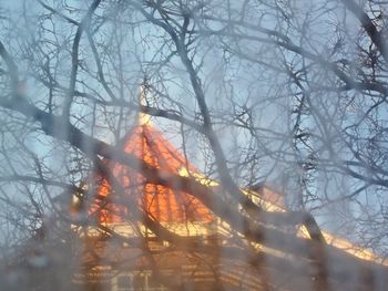 Low angle view of bare trees against sky