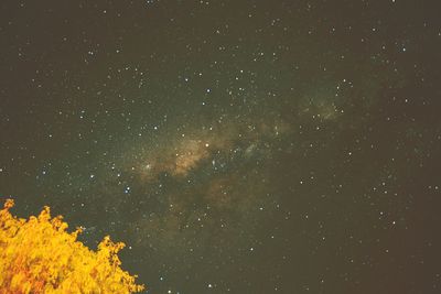 Low angle view of stars in sky