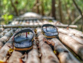 Close-up of objects on land in forest