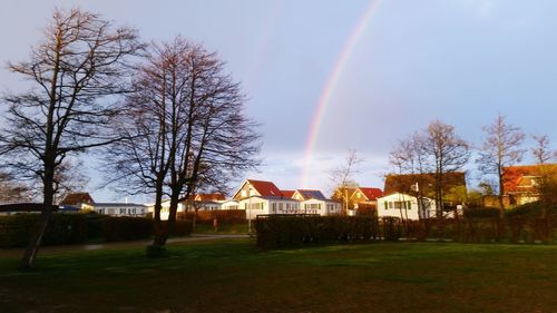 Bare trees on grassy field against cloudy sky