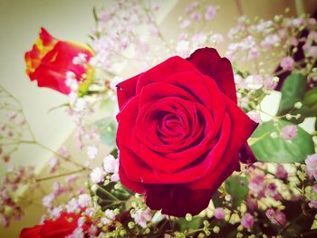 Close-up of rose bouquet