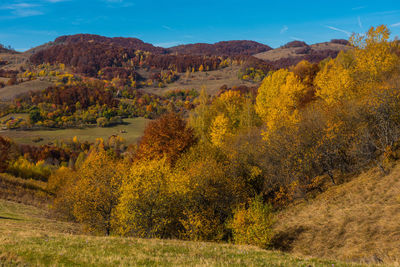Scenic view of landscape against sky during autumn