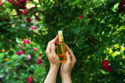 Hand holding a cosmetic bottle with essential oil or serum on green nature background