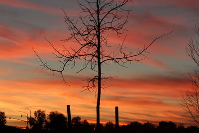 Low angle view of silhouette trees against dramatic sky