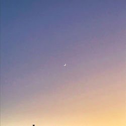 Low angle view of moon against sky at sunset