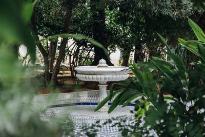 Fountain in garden