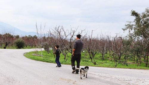 Rear view of people walking on road against sky