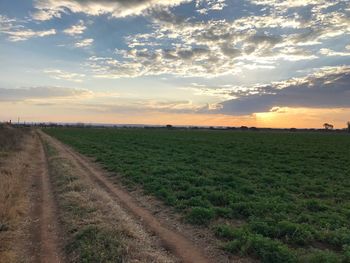 Scenic view of field against sky during sunset