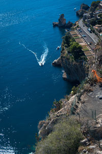 High angle view of tree by sea