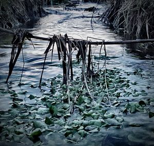 Scenic view of frozen lake