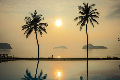 Silhouette palm trees by sea against sky during sunset