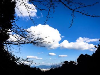 Low angle view of silhouette trees against sky