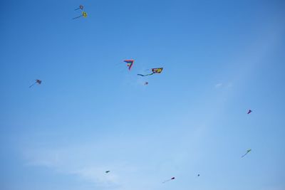 Low angle view of birds flying against blue sky