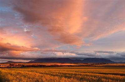 Scenic view of field against sky during sunset